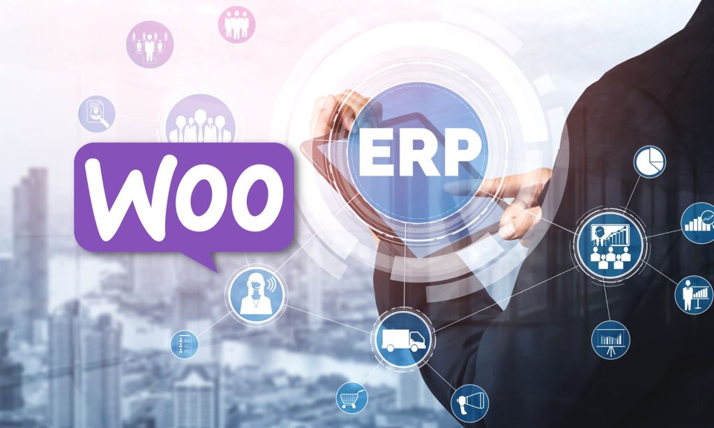 ERP Software Integration