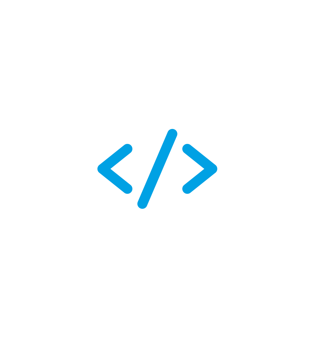 Custom App Development